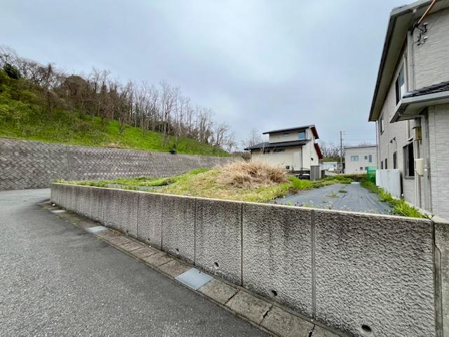 木の枝