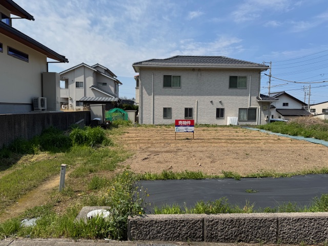 木の枝