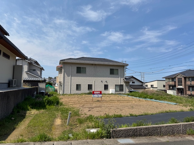 木の枝