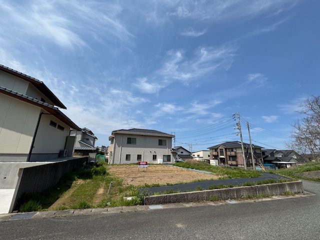 木の枝