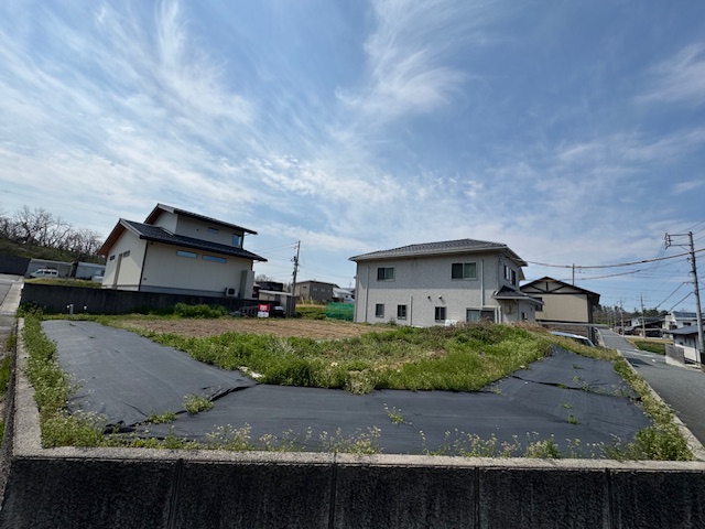 木の枝