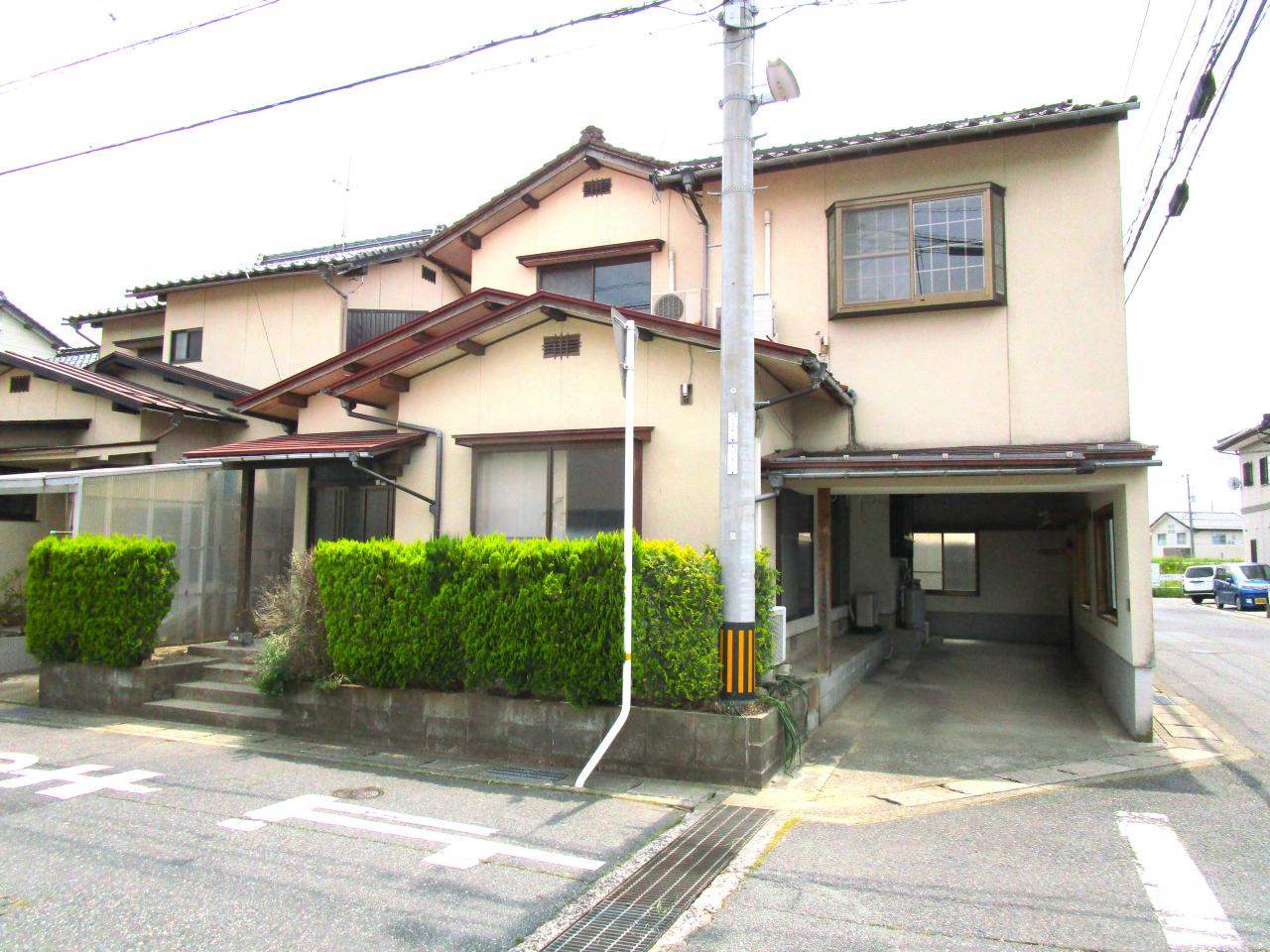 木の枝