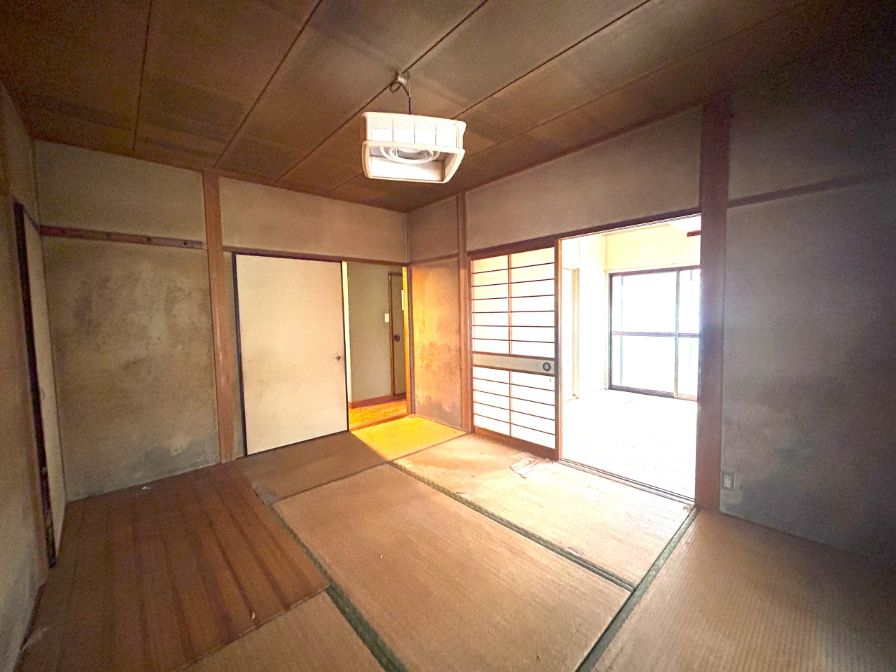 木の枝