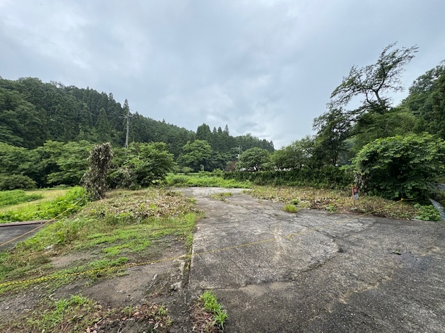 木の枝