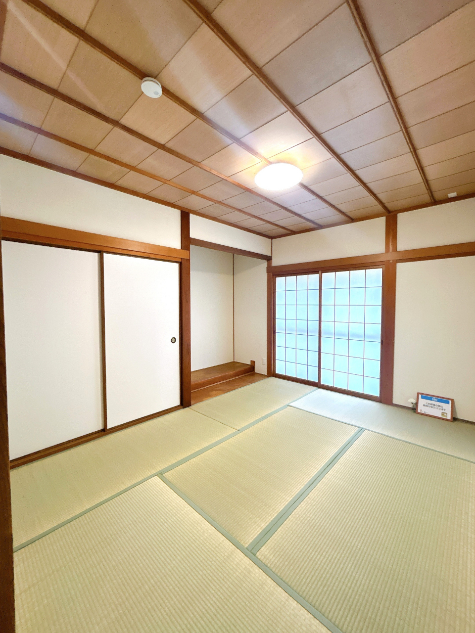木の枝