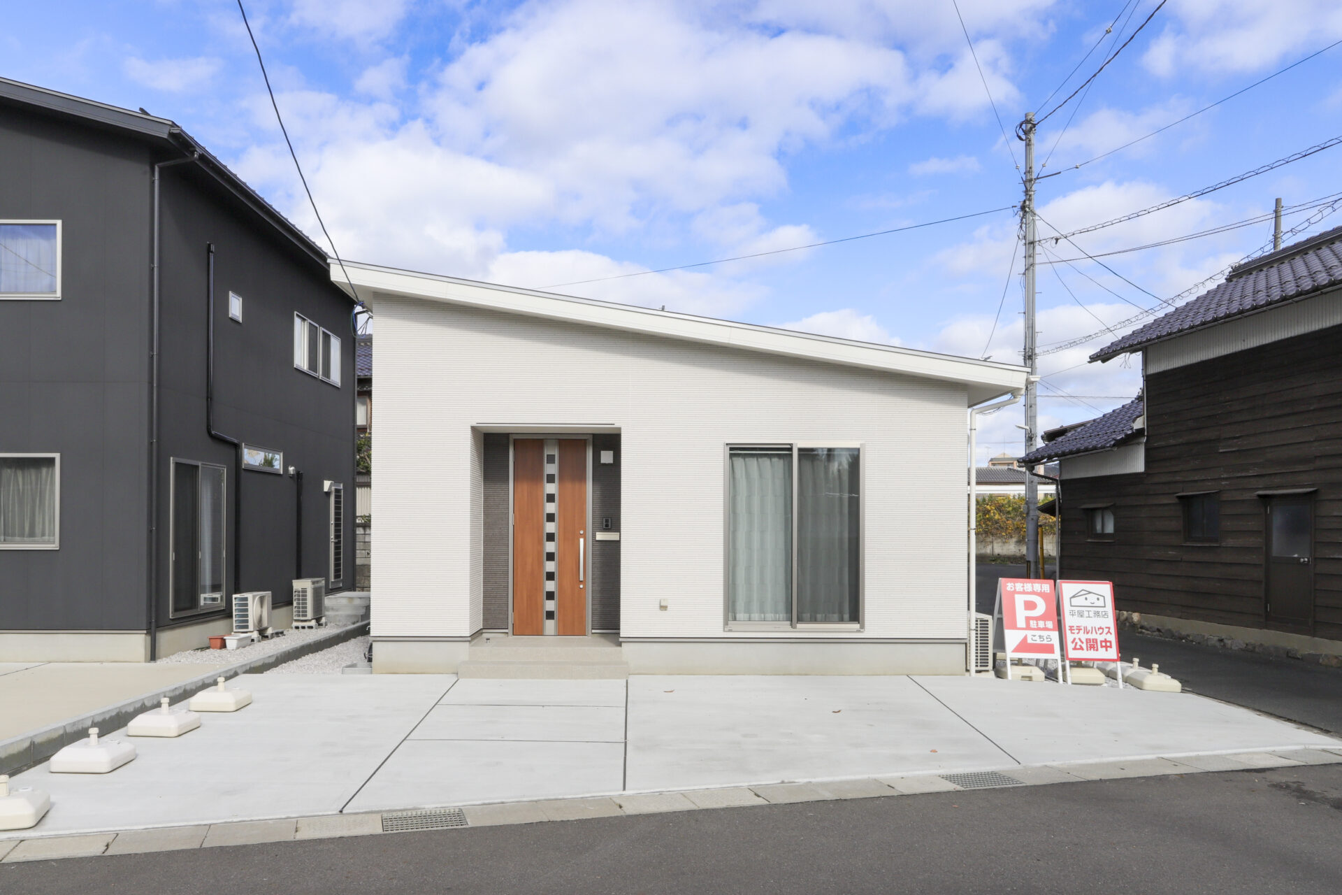 木の枝