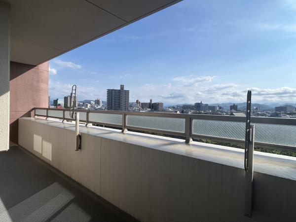 木の枝