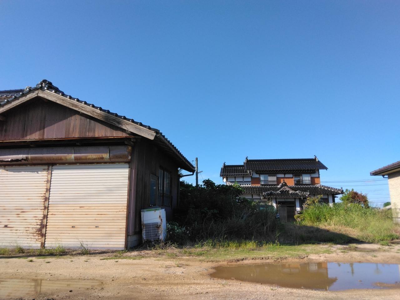 木の枝